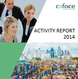 PIC ACTIVITY REPORT 2014