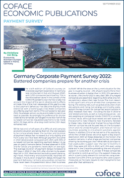 Germany Corporate Payment Survey - 2022